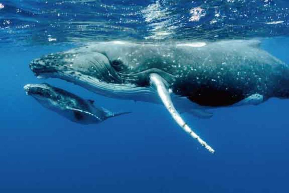 私たちの取り組む課題の画像