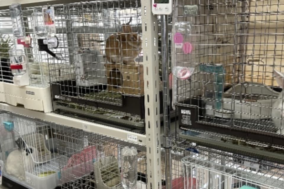 私たちの取り組む課題の画像