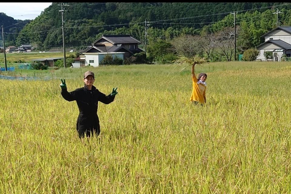 私たちの取り組む課題の画像