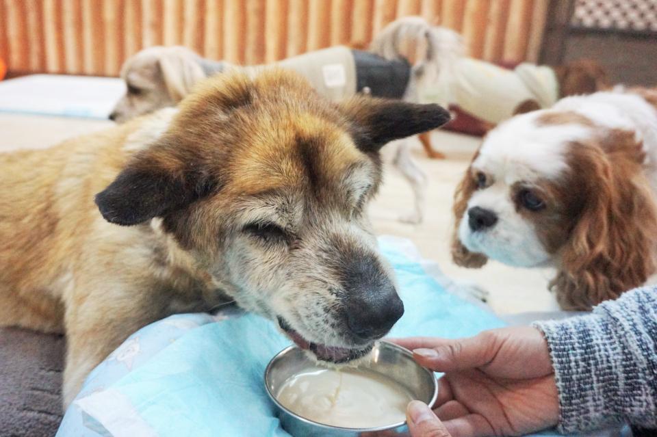 私たちの取り組む課題の画像