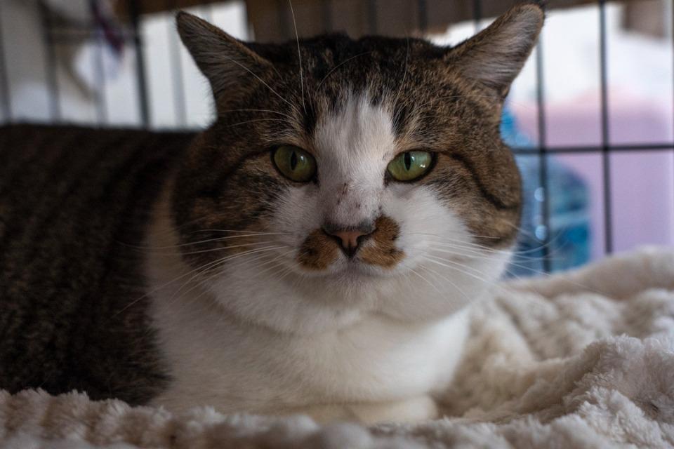 私たちの取り組む課題の画像