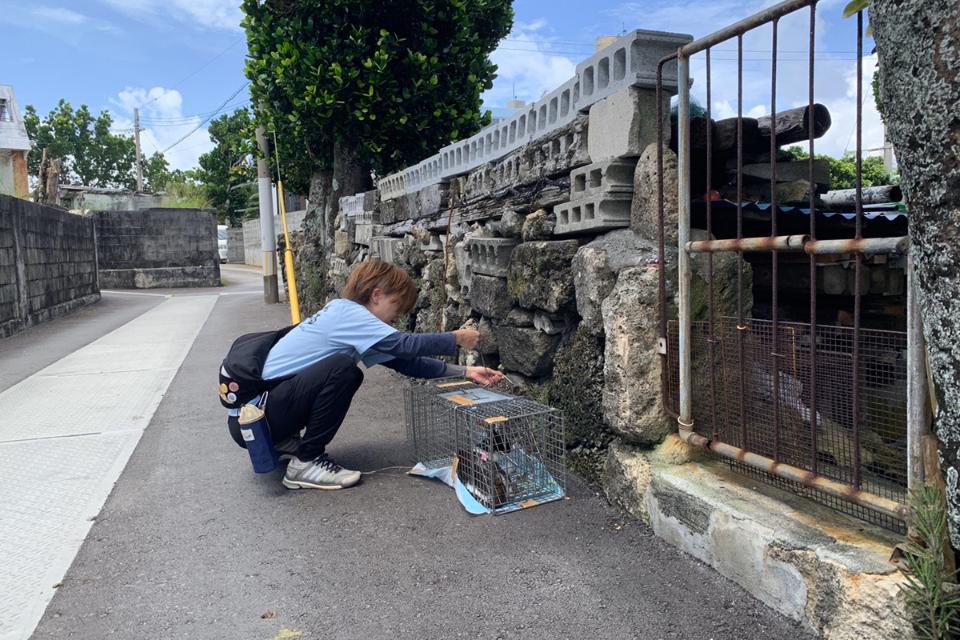 私たちの取り組む課題の画像