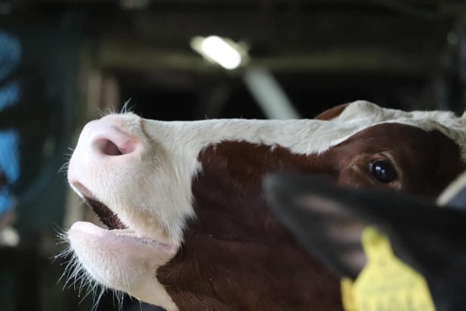 私たちの取り組む課題の画像