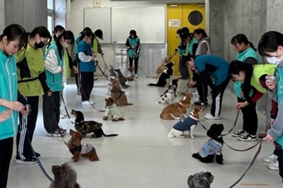 私たちの取り組む課題の画像