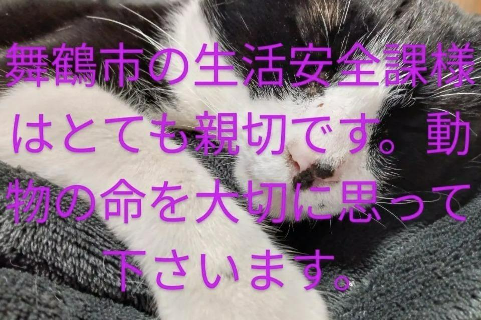 私たちの取り組む課題の画像