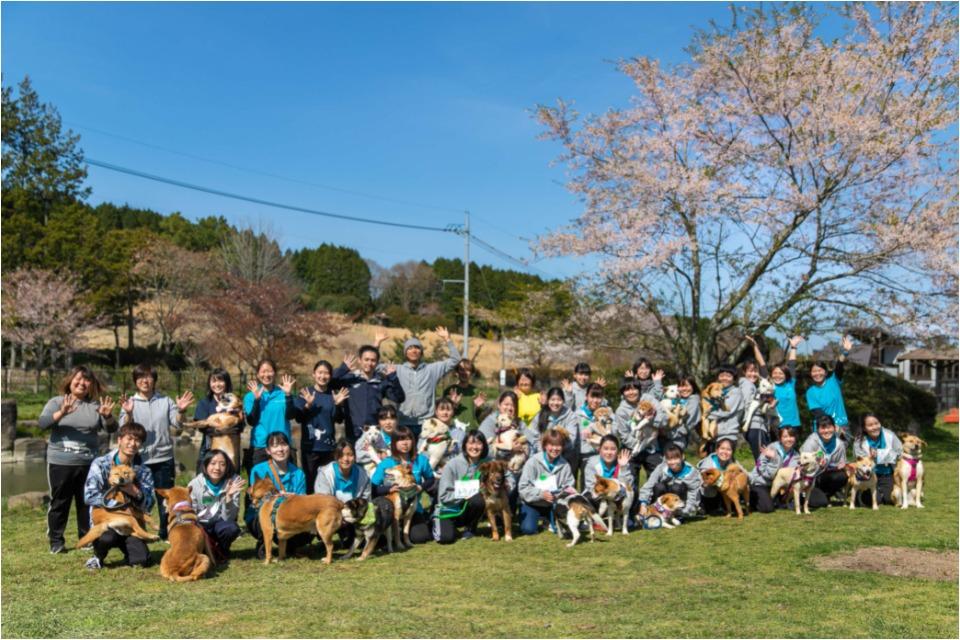 私たちの取り組む課題の画像