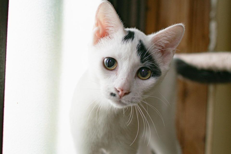 私たちの取り組む課題の画像