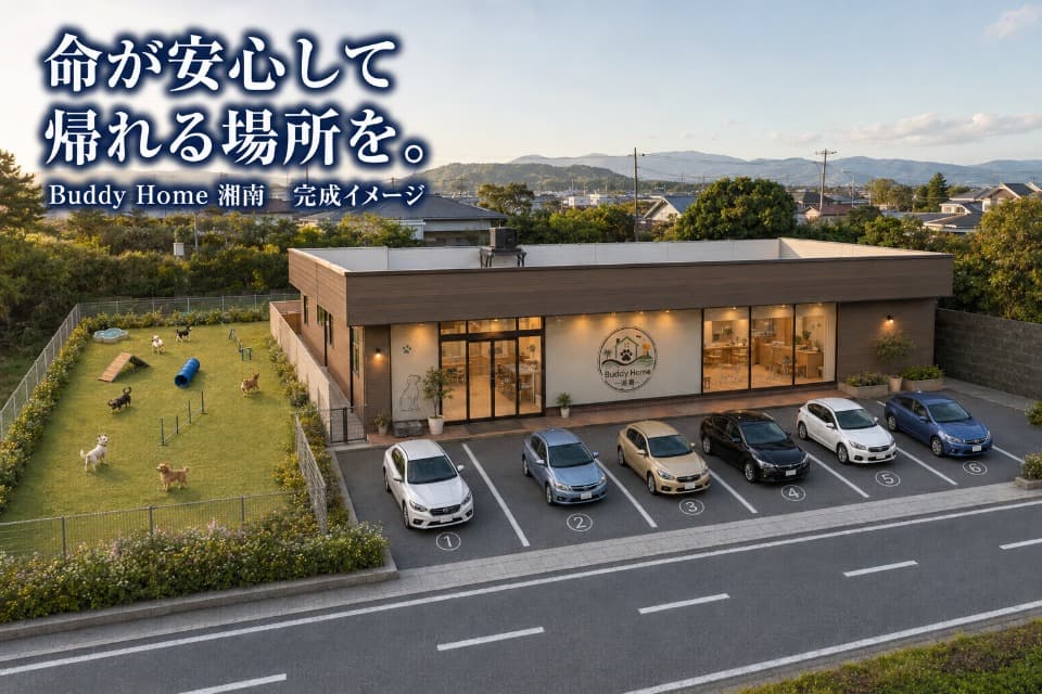 私たちの取り組む課題の画像