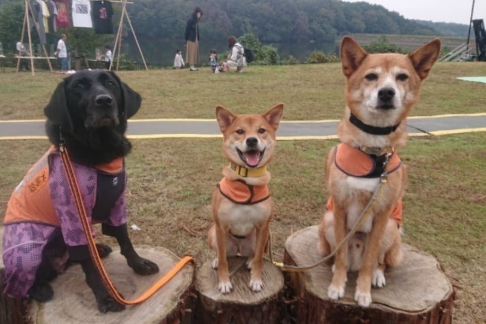 私たちの取り組む課題の画像