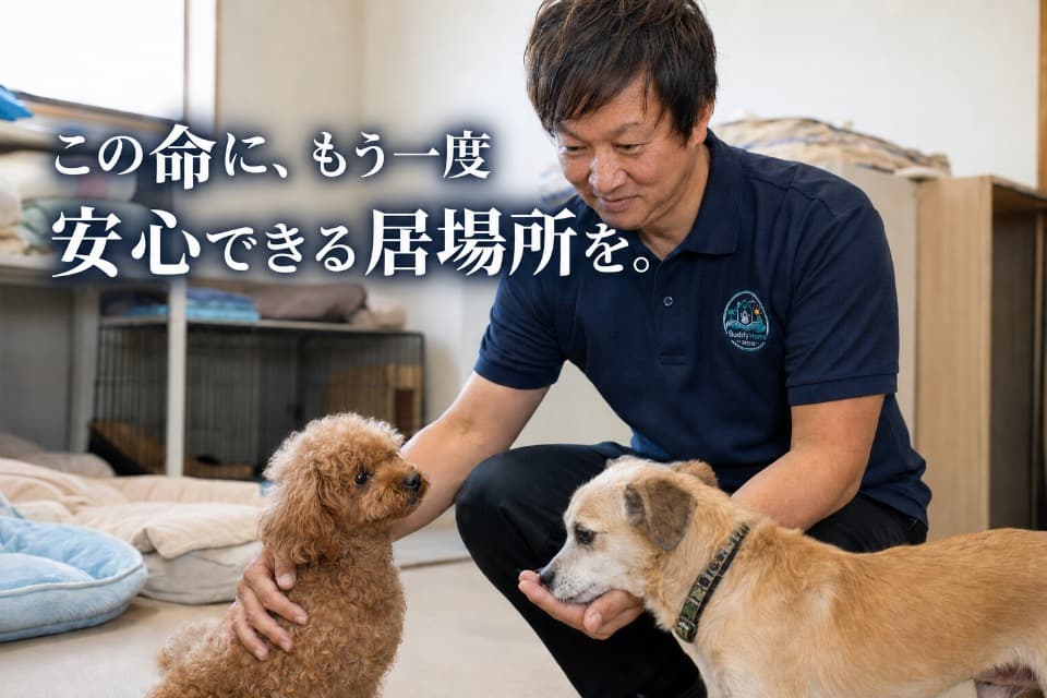 私たちの取り組む課題の画像