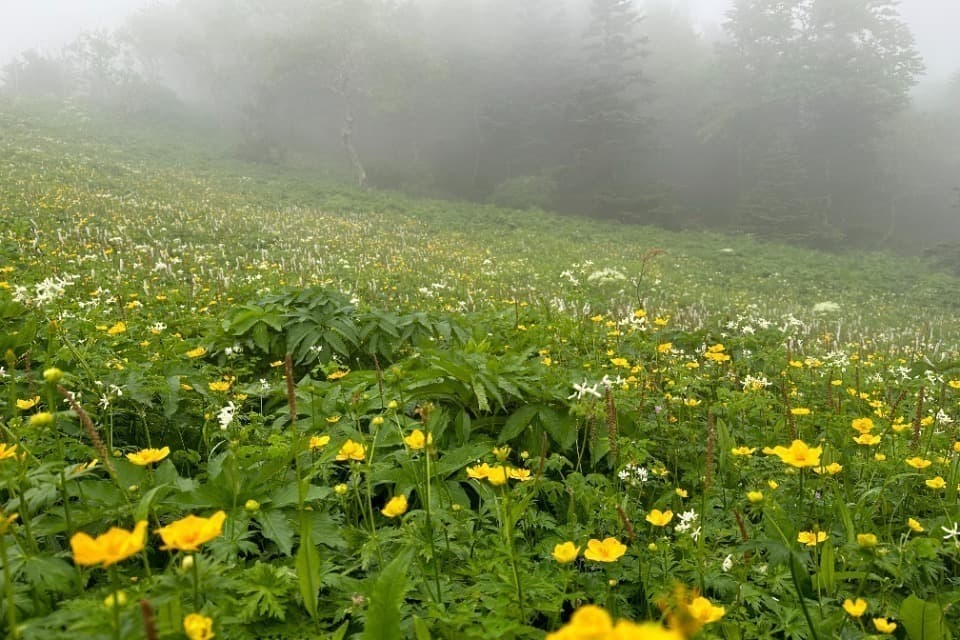 私たちの取り組む課題の画像