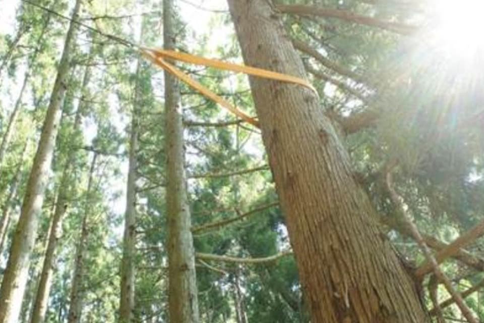 私たちの取り組む課題の画像