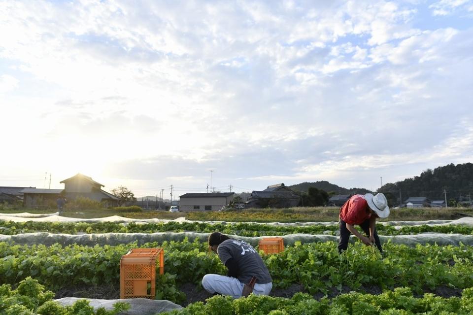 私たちの取り組む課題の画像