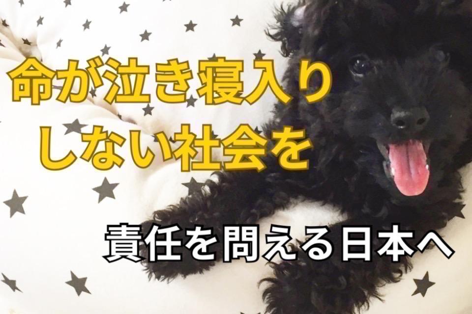 私たちの取り組む課題の画像