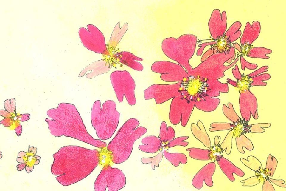 私たちの取り組む課題の画像