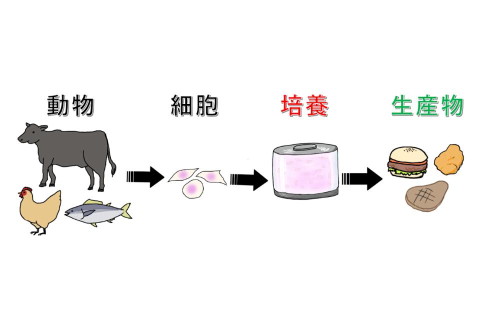 Issues we are working on Image