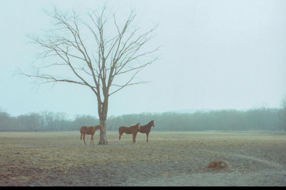 私たちの取り組む課題の画像
