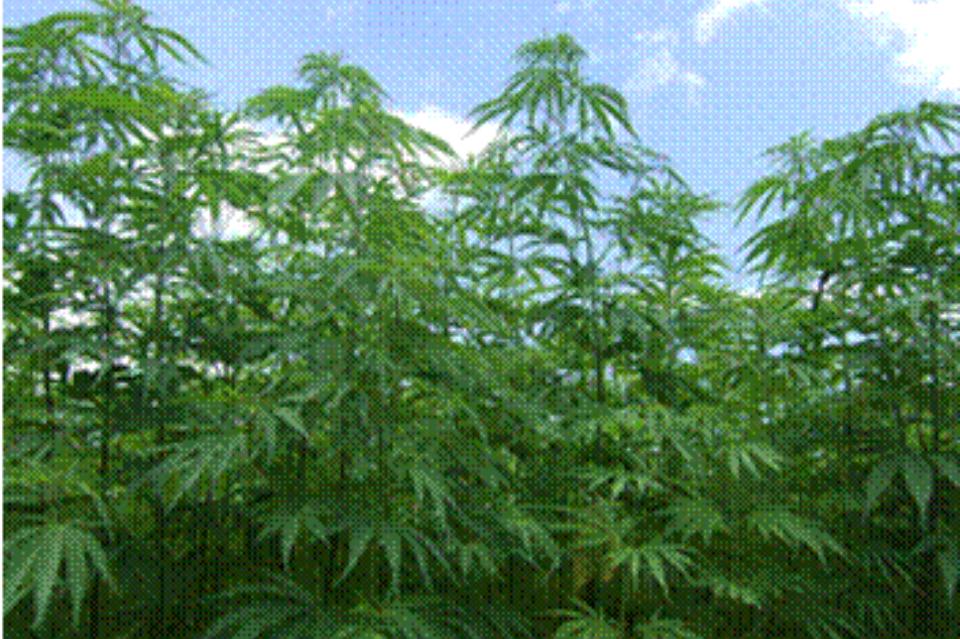 私たちの取り組む課題の画像