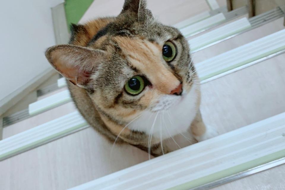私たちの取り組む課題の画像
