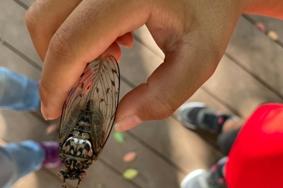 私たちの取り組む課題の画像