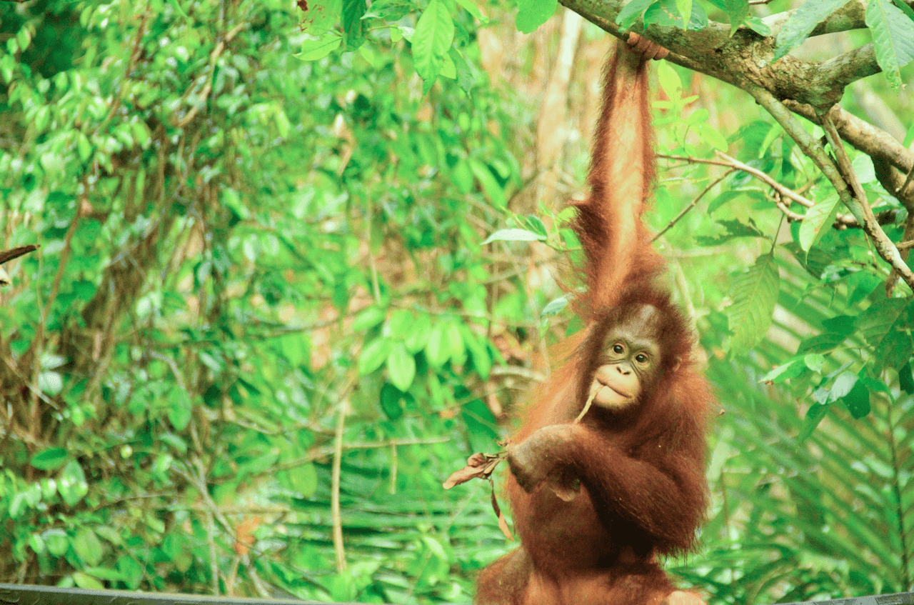 私たちの取り組む課題の画像