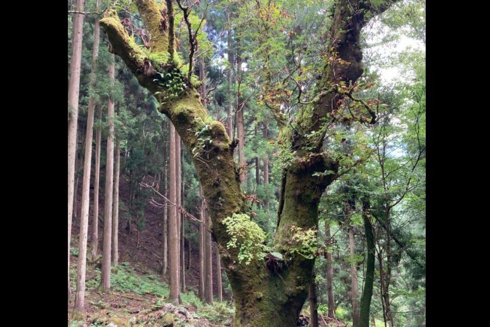 私たちの取り組む課題の画像