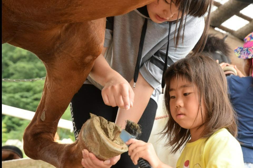 Issues we are working on Image