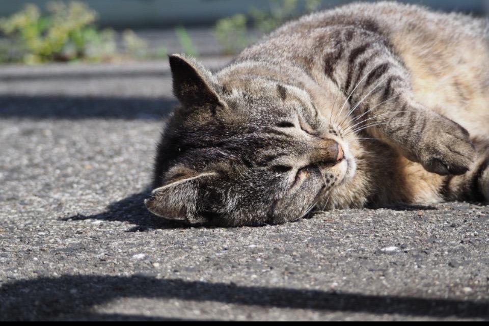 私たちの取り組む課題の画像