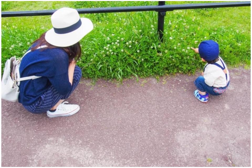 私たちの取り組む課題の画像