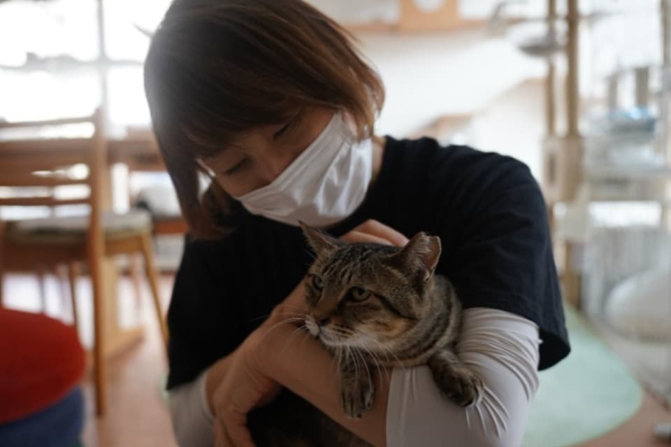 私たちの取り組む課題の画像