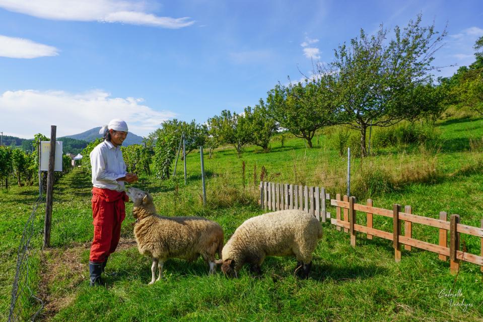 Issues we are working on Image