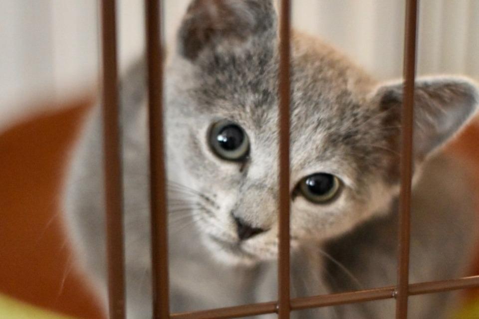 私たちの取り組む課題の画像