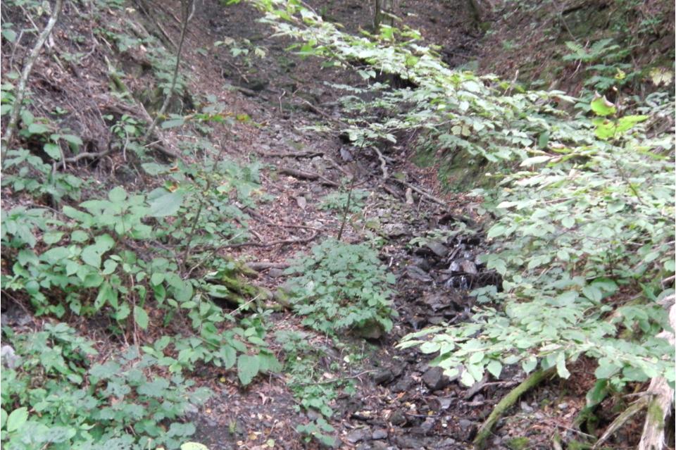 私たちの取り組む課題の画像