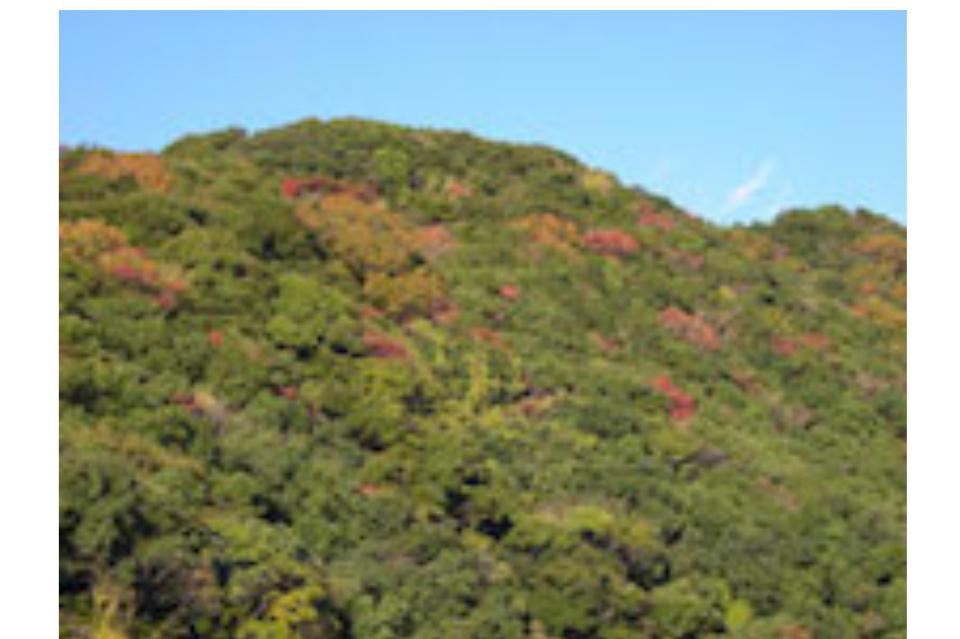 私たちの取り組む課題の画像