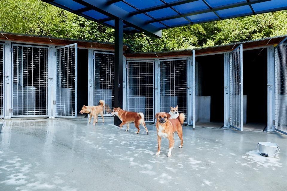 私たちの取り組む課題の画像