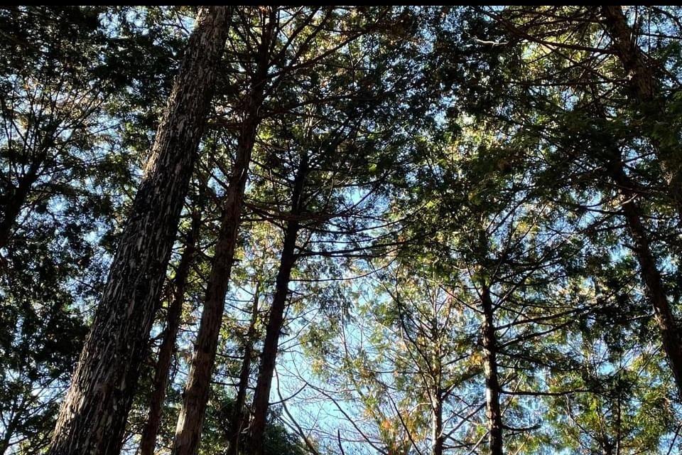 Issues we are working on Image