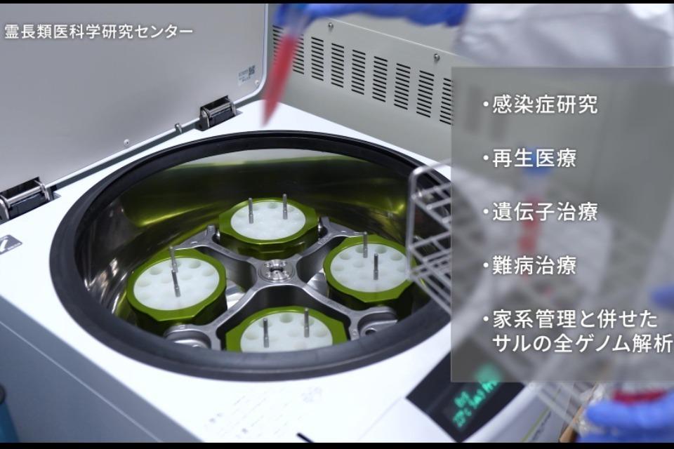 私たちの取り組む課題の画像