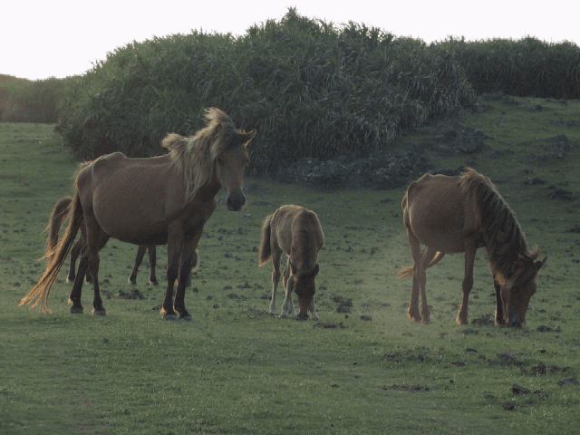 Issues we are working on Image