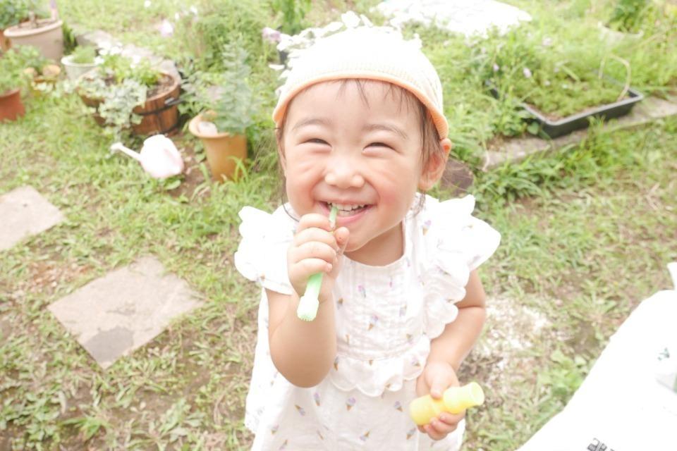 私たちの取り組む課題の画像