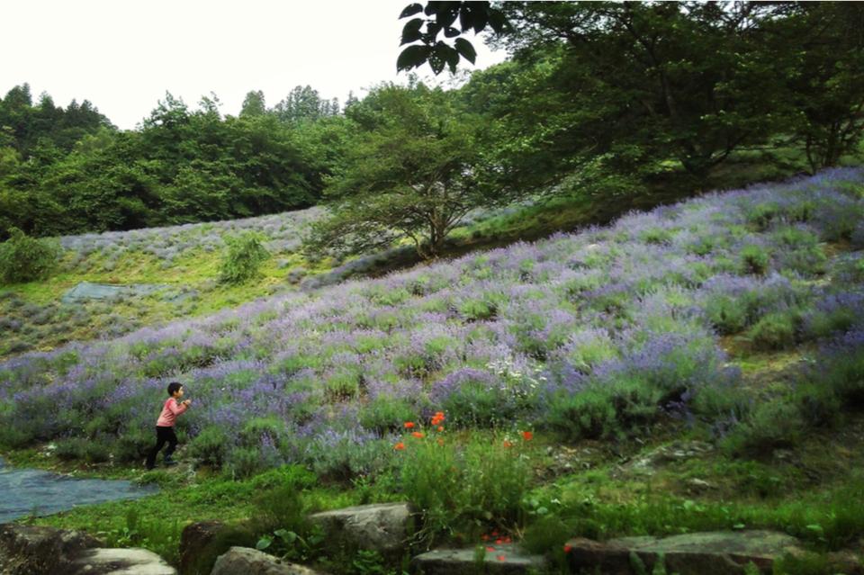私たちの取り組む課題の画像