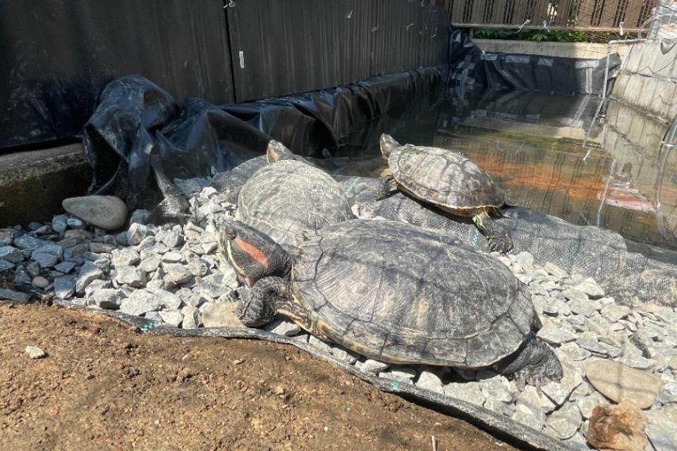 私たちの取り組む課題の画像