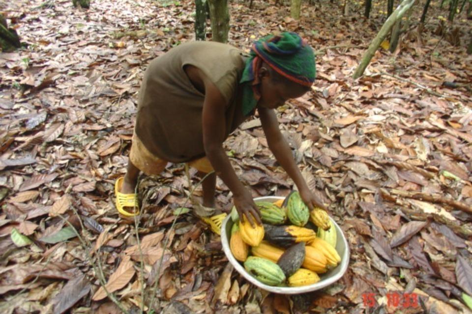 私たちの取り組む課題の画像