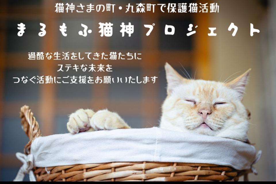 私たちの取り組む課題の画像