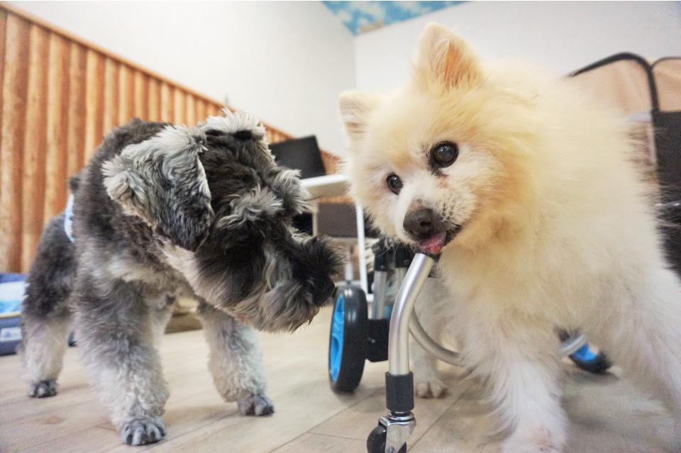 私たちの取り組む課題の画像