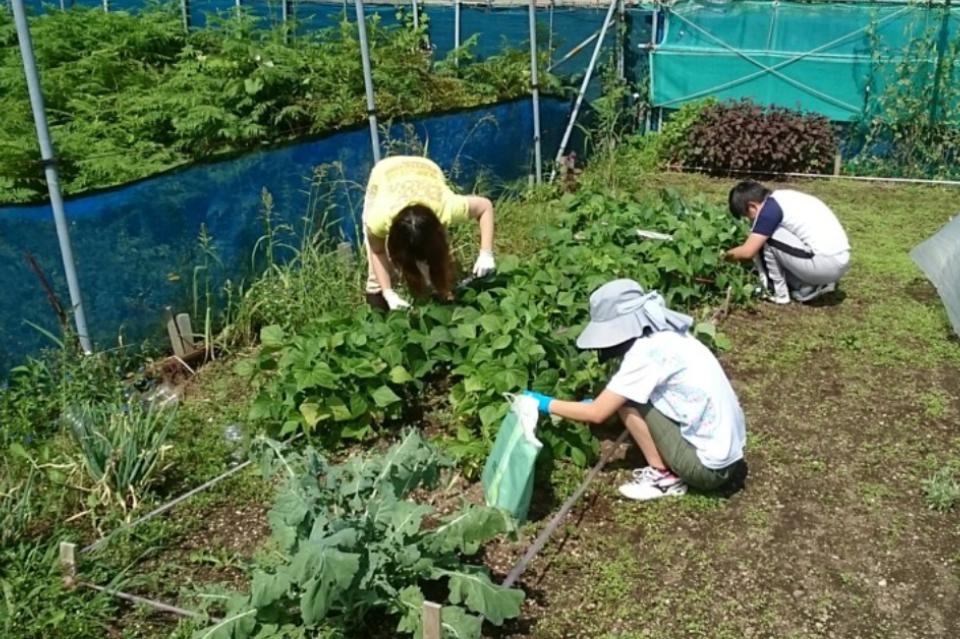私たちの取り組む課題の画像