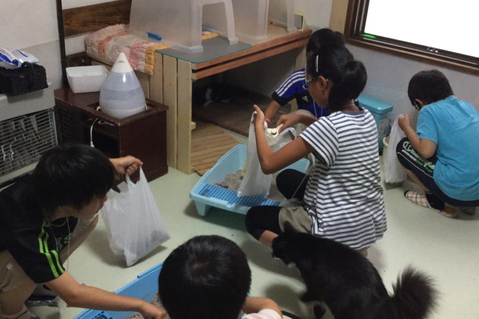 Issues we are working on Image