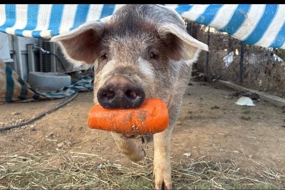 私たちの取り組む課題の画像