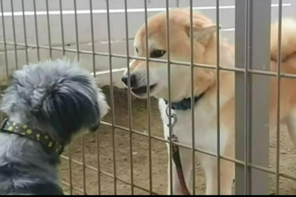 私たちの取り組む課題の画像