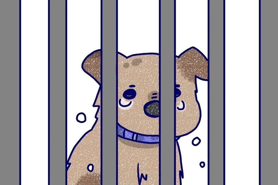 私たちの取り組む課題の画像