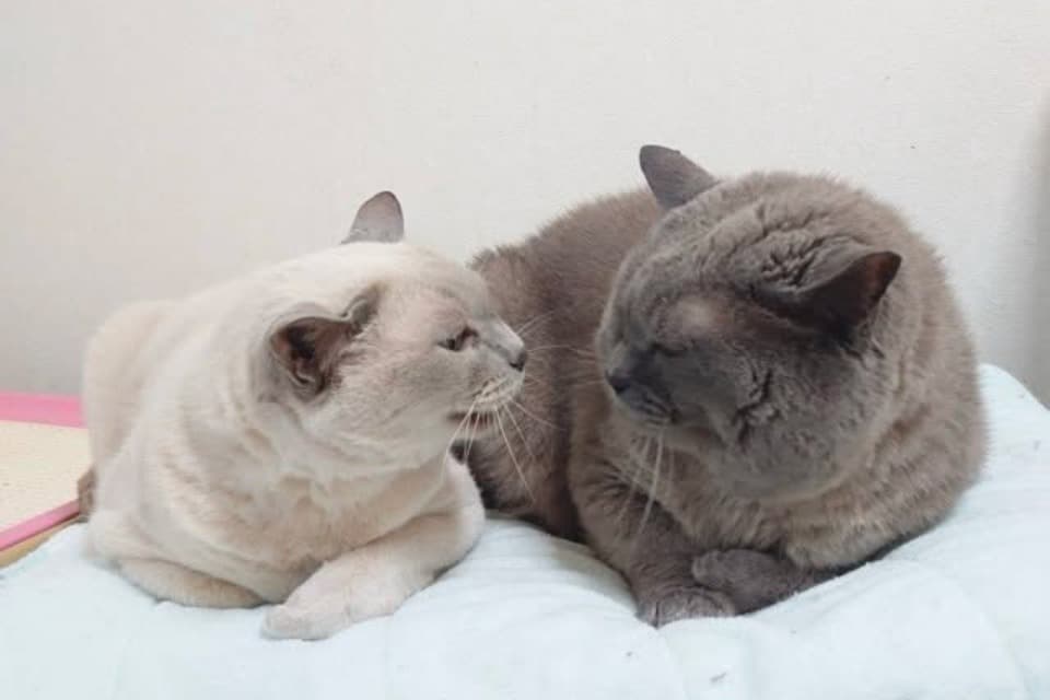 私たちの取り組む課題の画像